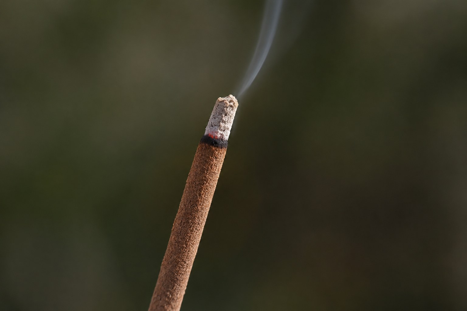 Close-up of a brown incense stick with a grey ash cap, a small ember, and no flame